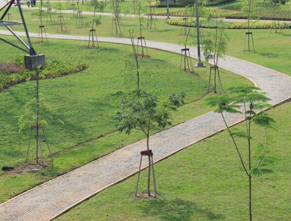 Dự án – công viên dạ cầu Sài Gòn – Q2